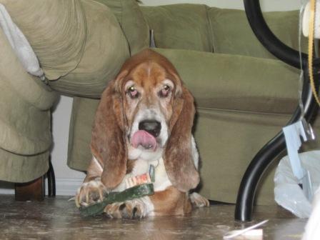 Wallace