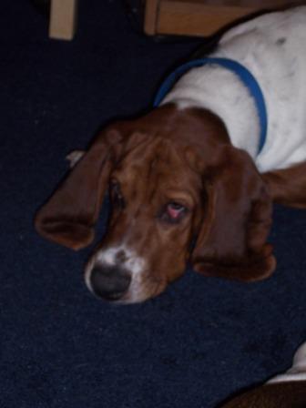 Wally